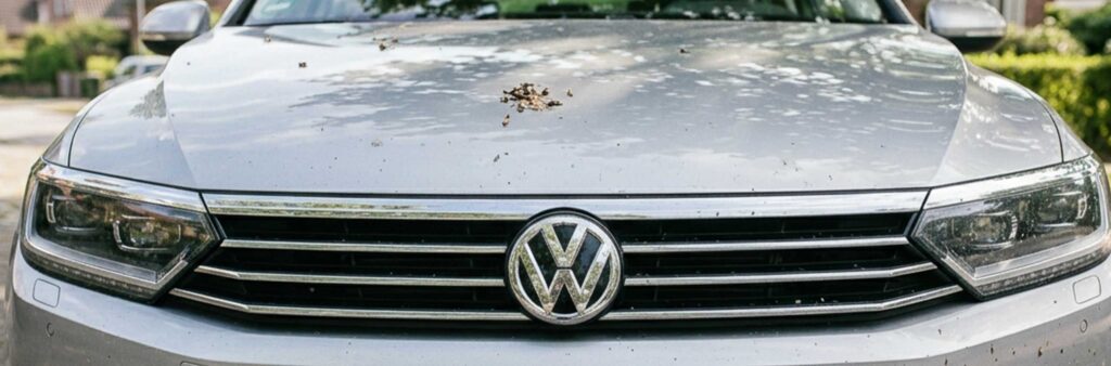 Hartnäckige Verschmutzungen wie Insektenreste und Baumharz auf dem Lack eines Autos